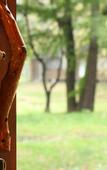 Туры в отель Karuizawa Prince Hotel West