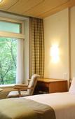 Туры в отель Karuizawa Prince Hotel West