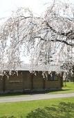 Туры в отель Karuizawa Prince Hotel West