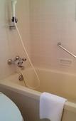 Туры в отель Karuizawa Prince Hotel West