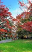 Туры в отель Karuizawa Prince Hotel West