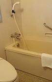 Туры в отель Karuizawa Prince Hotel West
