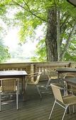 Туры в отель Karuizawa Prince Hotel West