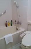 Туры в отель Karuizawa Prince Hotel West