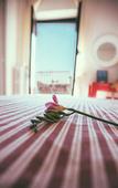 Туры в отель Hotel Sirenetta