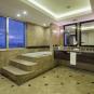 Туры в отель Wyndham Grand Kayseri, оператор Anex Tour