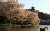 Туры в отель Citadines Harbour Front Yokohama