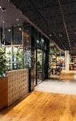 Туры в отель Hotel Schani UNO City
