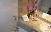 Туры в отель Hotel Gratte-Ciel Ariana