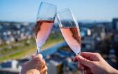 Туры в отель Soraniwa Terrace Kyoto