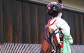 Туры в отель Soraniwa Terrace Kyoto