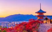 Туры в отель Soraniwa Terrace Kyoto