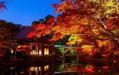 Туры в отель Soraniwa Terrace Kyoto