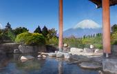 Туры в отель Hotel Green Plaza Hakone