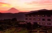 Туры в отель Hotel Green Plaza Hakone