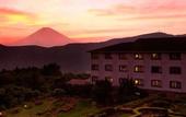 Туры в отель Hotel Green Plaza Hakone