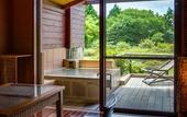 Туры в отель Hotel Green Plaza Hakone