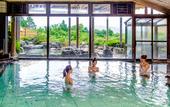 Туры в отель Hotel Green Plaza Hakone