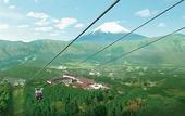 Туры в отель Hotel Green Plaza Hakone