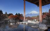 Туры в отель Hotel Green Plaza Hakone