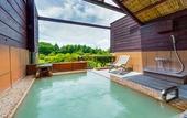 Туры в отель Hotel Green Plaza Hakone