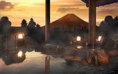 Туры в отель Hotel Green Plaza Hakone