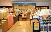 Туры в отель Hotel Green Plaza Hakone