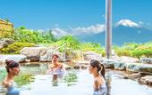 Туры в отель Hotel Green Plaza Hakone