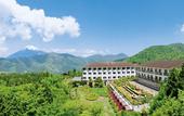 Туры в отель Hotel Green Plaza Hakone