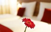 Туры в отель Four Points Flex by Sheraton Essen