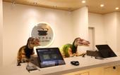 Туры в отель Henn na Hotel Kanazawa Korinbo