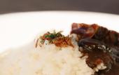Туры в отель THE GATE HOTEL KYOTO TAKASEGAWA by HULIC