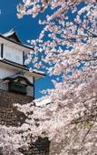 Туры в отель Smile Hotel Kanazawa Nishiguchi Ekimae