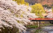 Туры в отель Hotel and Spa Gift TAKAYAMA