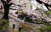 Туры в отель Hotel and Spa Gift TAKAYAMA