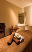 Туры в отель Hakone Ashinoko Hanaori(ORIX HOTELS & RESORTS)