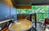 Туры в отель Hakone Ashinoko Hanaori(ORIX HOTELS & RESORTS)