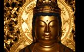 Туры в отель Koyasan Saizenin