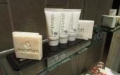 Туры в отель Rydges Sydney Airport Hotel