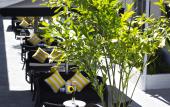 Туры в отель Seaside All Suites Hotel