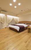 Туры в отель Hotel Alps