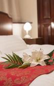 Туры в отель Hotel Alps