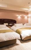 Туры в отель Hotel Alps
