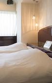 Туры в отель Hotel Alps