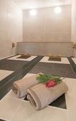 Туры в отель Hotel Alps