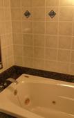 Туры в отель Hotel Alps