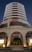 Туры в отель Hotel Alps