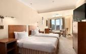Туры в отель Hilton London Metropole