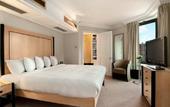 Туры в отель Hilton London Metropole
