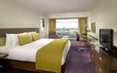 Туры в отель Hilton London Metropole
